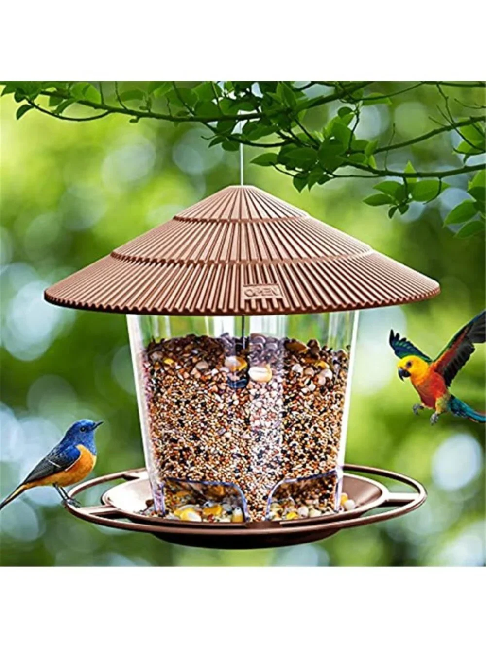 N/A 🧿watch birds